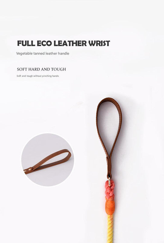 Premium Leather Pet Collar and Leash - Soft, Strong Braided Rope (Pink Purple - Size L)