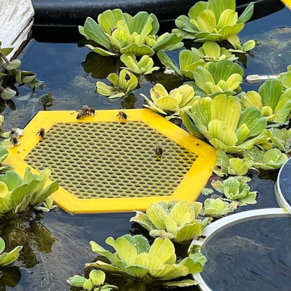 2PCS L 210x180x3.5mm Purple Floating Bee Saver Waterer - Safe Drinking Platform for Garden Ponds & Bird Baths