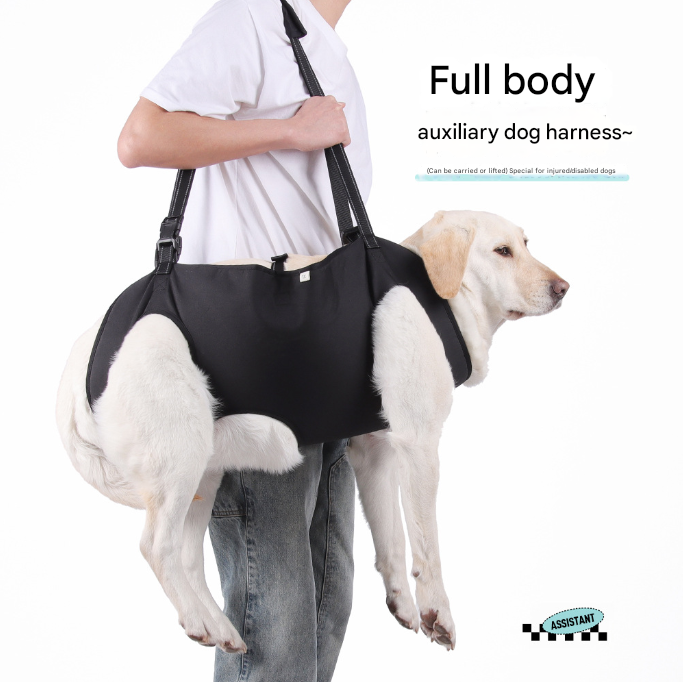 Green Pet Support Harness for Senior and Disabled Dogs - Adjustable Chest and Back Support Leash(Size L)