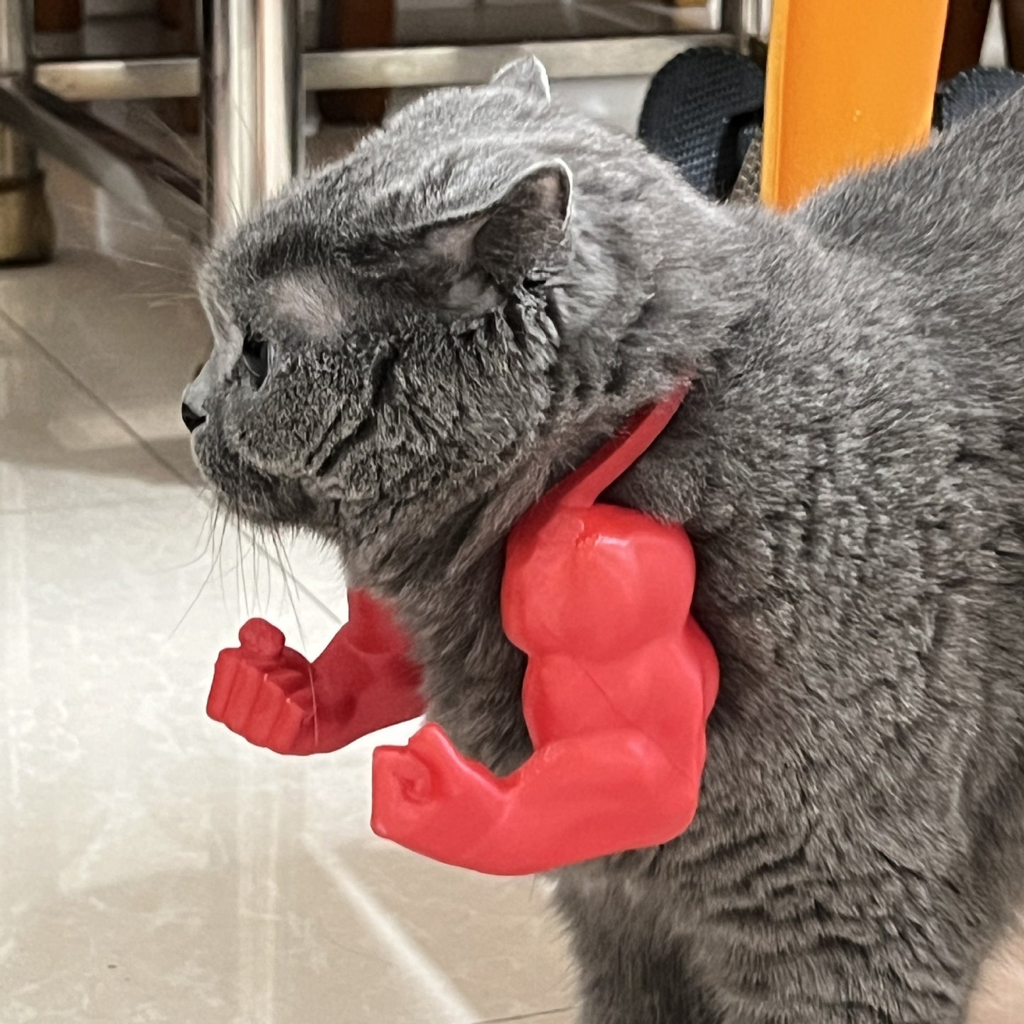 2pc Hilarious Muscle Arm Pet Costume Prop - Funny Novelty Arms for Cats & Small Dogs(black)