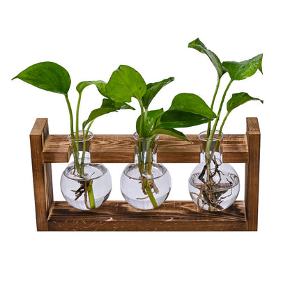 Brown Desktop Plant Propagation Station - Rustic Wooden Stand with 3 Glass Bulb Vases for Hydroponics & Cuttings
