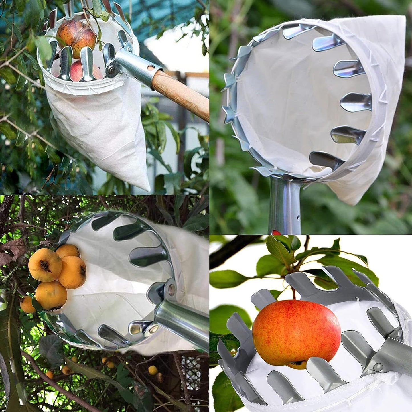 Green Telescopic Fruit Picker Tool with Stainless Steel Extension Pole Carbon Steel Head and Large Bag for Apples Peaches Oranges Australian Home Orchards(2.4m)