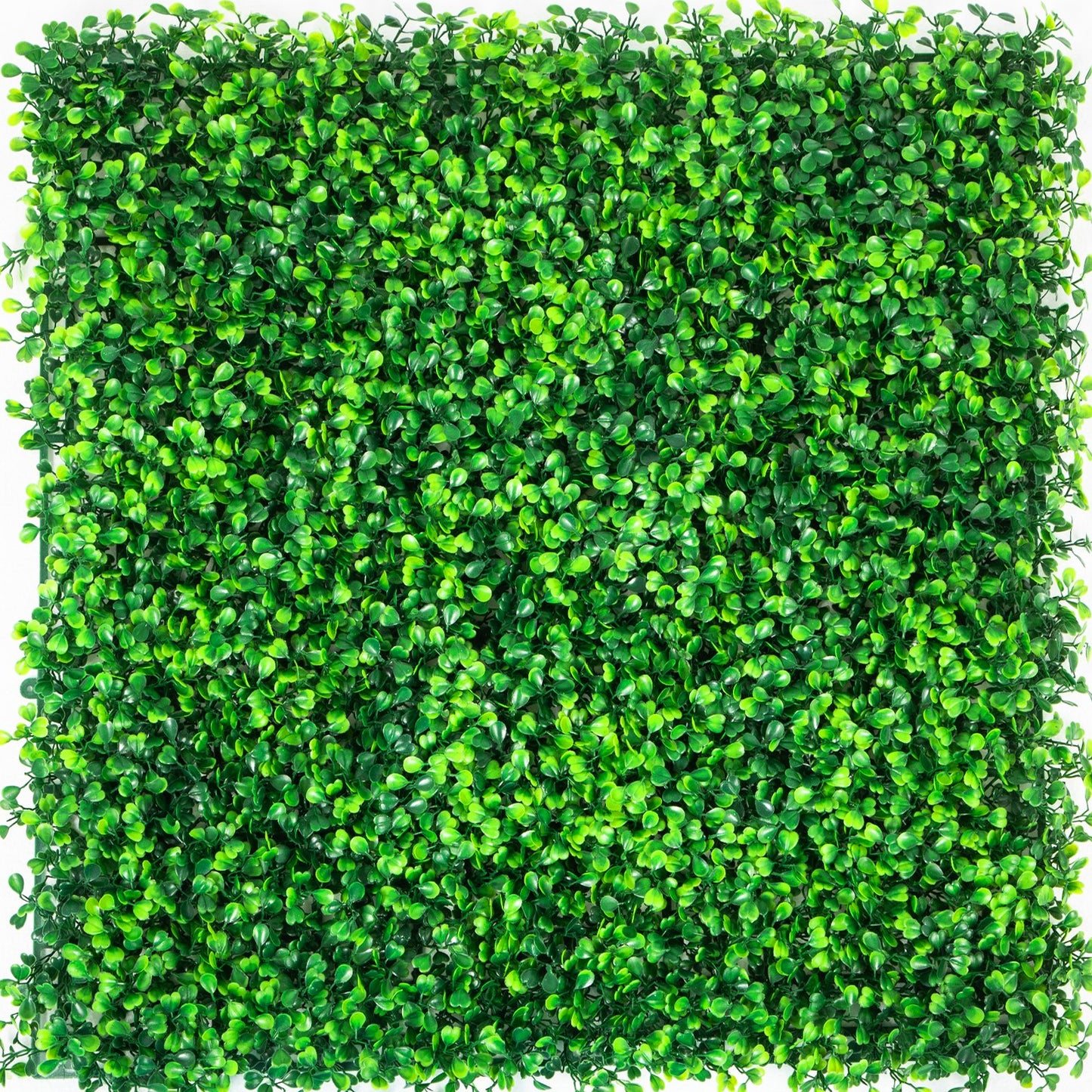 VEVOR Artificial Boxwood Panels, 16 PCS 20"x20" Boxwood Hedge Wall Panels, PE Artificial Grass Backdrop Wall 1.6\", Privacy Hedge Screen for Decoration of Outdoor, Indoor, Garden, Fence, and Backyar
